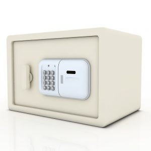 Warrior Wardrobe Cabinet Safe