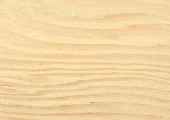 Softwood